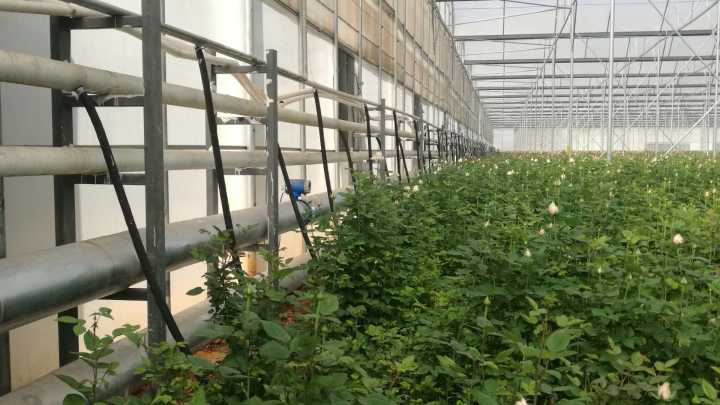 電磁流量計現(xiàn)場安裝圖